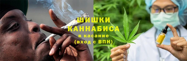 шишки Абинск