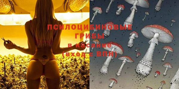 прущая мука Сатка